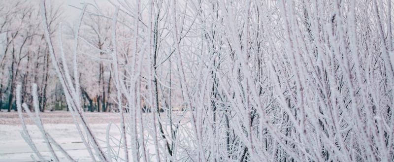 Фото: Коммуниционное агенство Медиа консалт