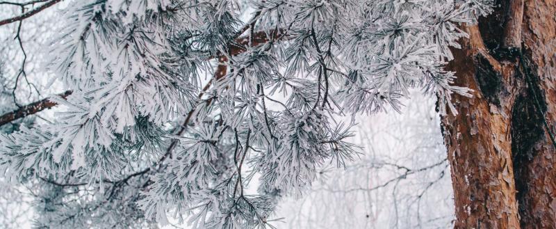 Фото: Коммуниционное агенство Медиа консалт