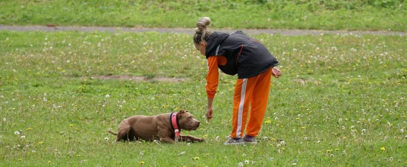 Фото: Коммуниционное агенство Медиа консалт