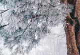 Фото: Коммуниционное агенство Медиа консалт