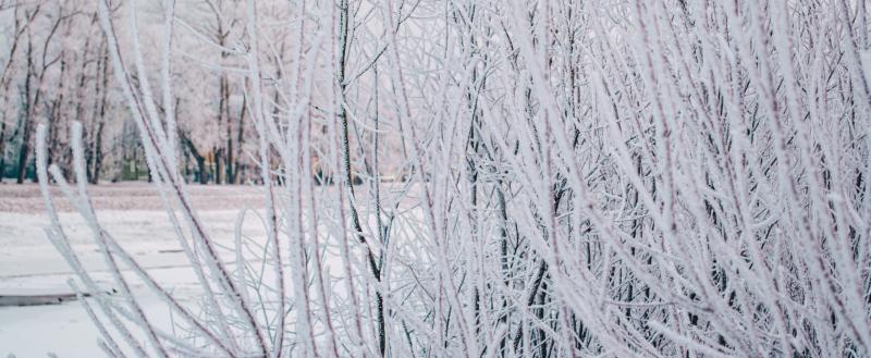 Фото: Коммуниционное агенство Медиа консалт
