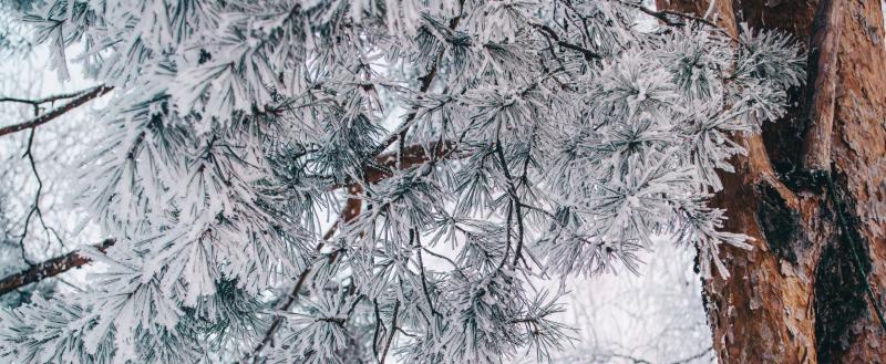 Фото: Коммуниционное агенство Медиа консалт