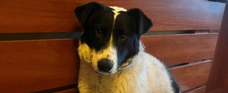 Фото: Максим Макаров