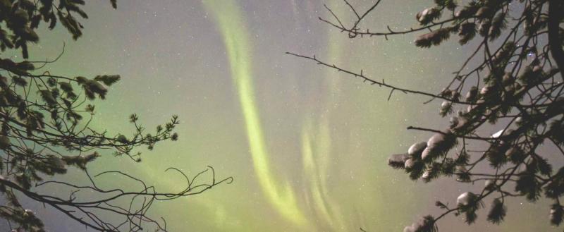 Фото: Коммуниционное агенство Медиа консалт