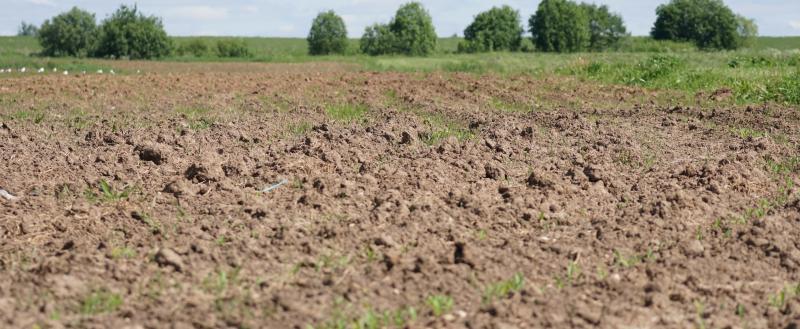 Фото: Коммуниционное агенство Медиа консалт