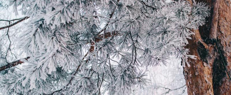 Фото: Коммуниционное агенство Медиа консалт