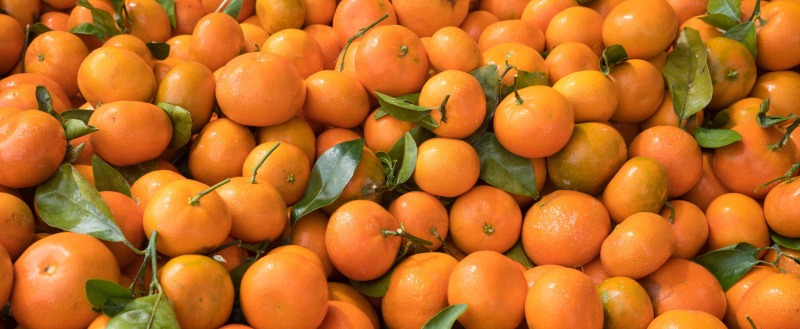 Фото: Paul Brady / Alamy