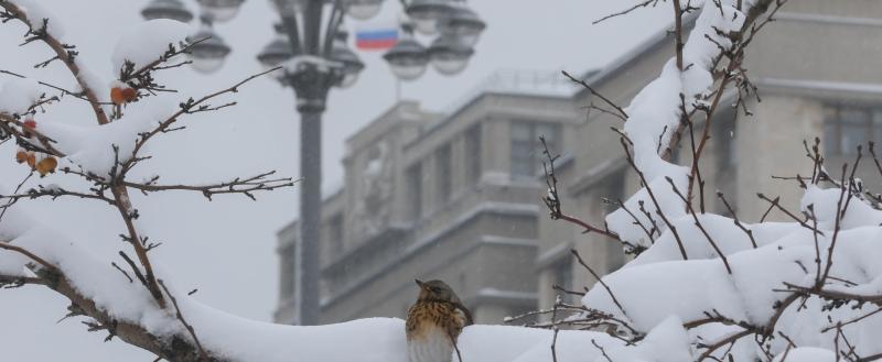 Фото: Коммуниционное агенство Медиа консалт