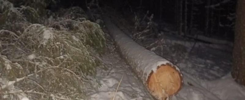 Фото: СУ СК России по Архангельской области и НАО