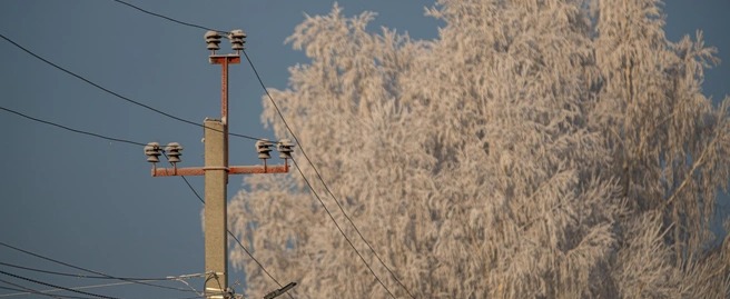 Фото: Александр Ощепков