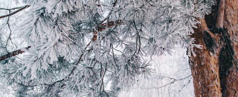 Фото: Коммуниционное агенство Медиа консалт