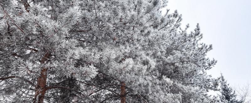 Фото: Коммуниционное агенство Медиа консалт