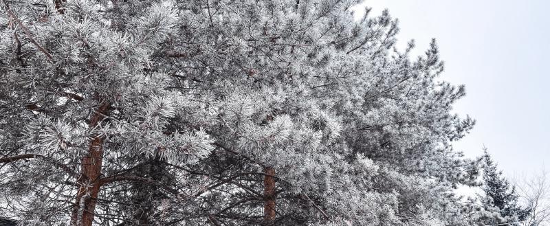 Фото: Коммуниционное агенство Медиа консалт