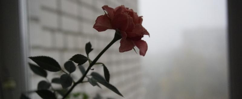 Фото: Коммуниционное агенство Медиа консалт