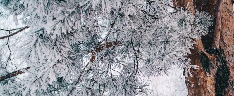 Фото: Коммуниционное агенство Медиа консалт