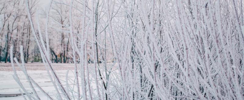 Фото: Коммуниционное агенство Медиа консалт