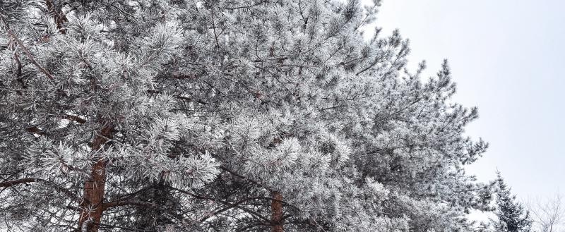 Фото: Коммуниционное агенство Медиа консалт