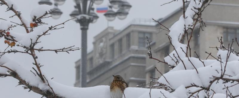 Фото: Коммуниционное агенство Медиа консалт