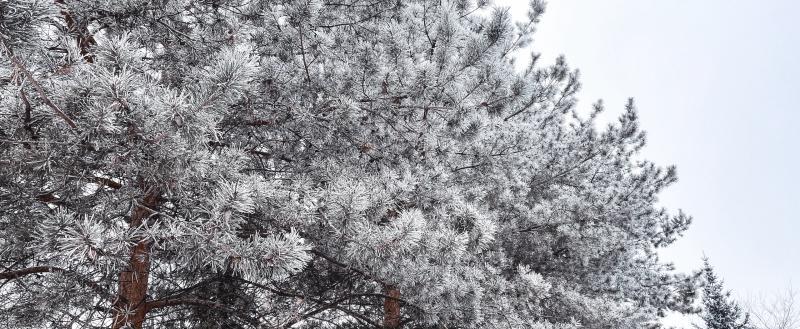 Фото: Коммуниционное агенство Медиа консалт