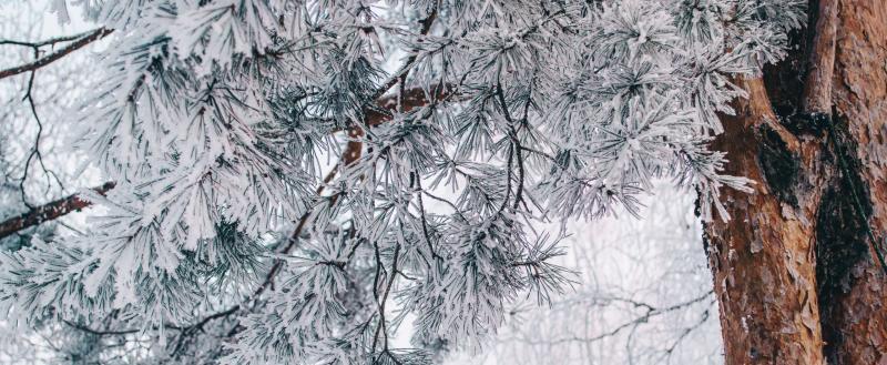 Фото: Коммуниционное агенство Медиа консалт