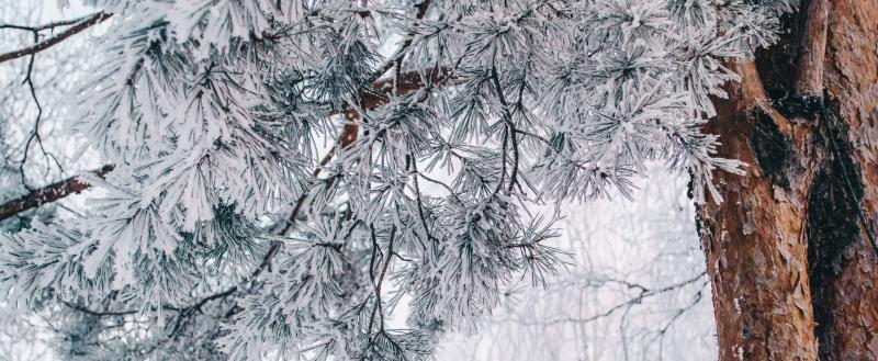 Фото: Коммуниционное агенство Медиа консалт