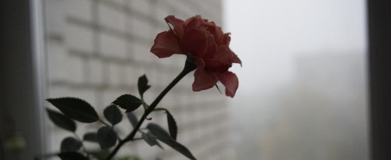 Фото: Коммуниционное агенство Медиа консалт