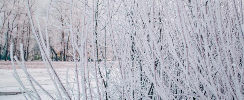 Фото: Коммуниционное агенство Медиа консалт