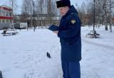 Фото: Пресс-служба прокуратуры Архангельской области