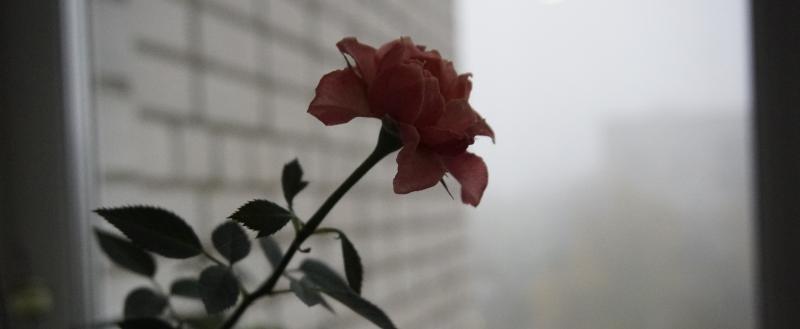 Фото: Коммуниционное агенство Медиа консалт