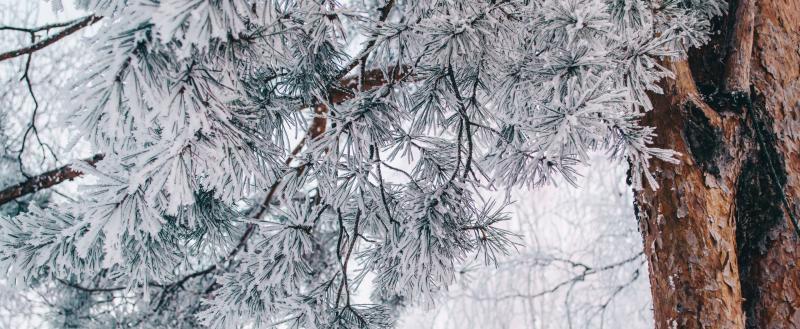Фото: Коммуниционное агенство Медиа консалт