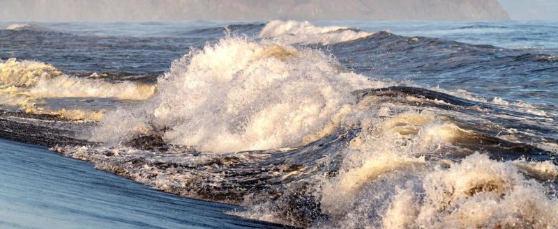 Фото: Александр Пирагис