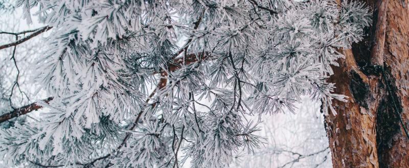 Фото: Коммуниционное агенство Медиа консалт