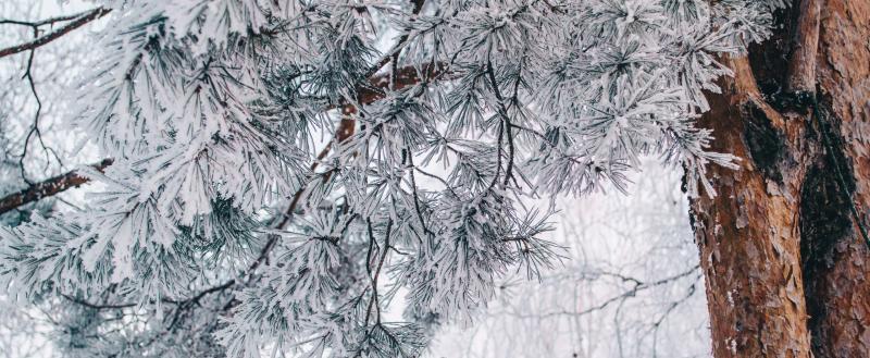 Фото: Коммуниционное агенство Медиа консалт
