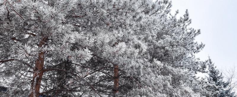 Фото: Коммуниционное агенство Медиа консалт