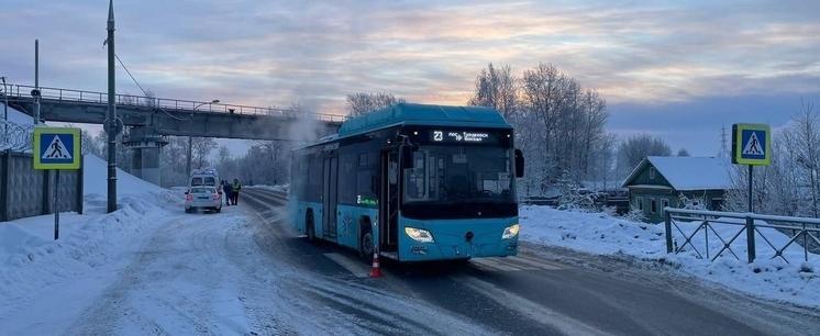 Фото: Пресс-служба Госавтоинспекции Архангельской области