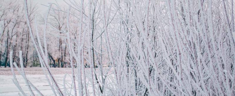 Фото: Коммуниционное агенство Медиа консалт