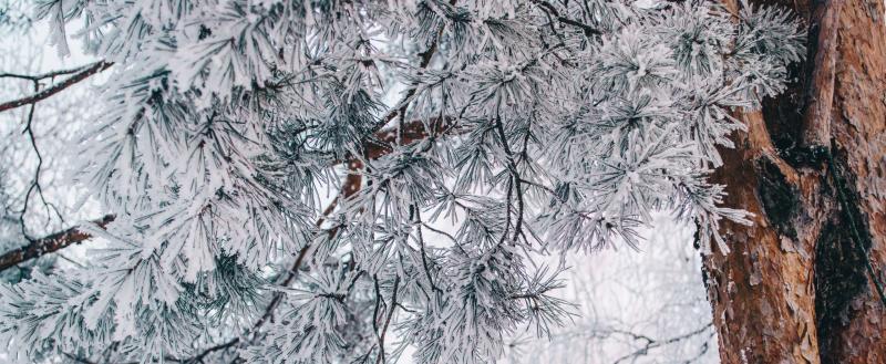 Фото: Коммуниционное агенство Медиа консалт