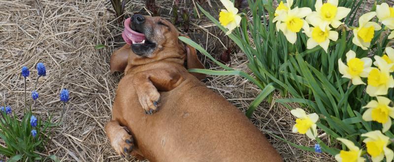 Фото: Коммуниционное агенство Медиа консалт