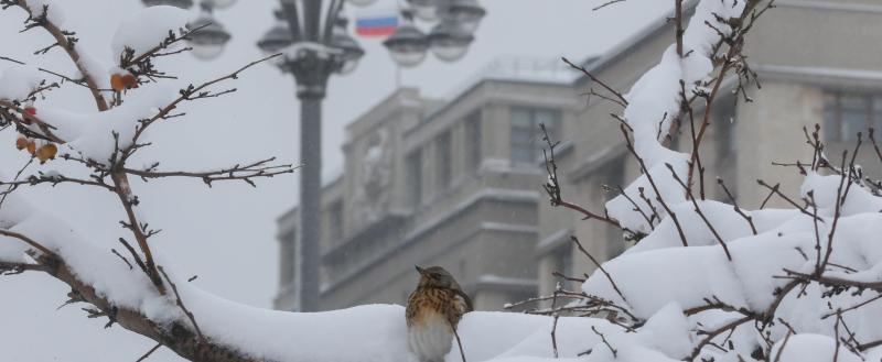 Фото: Коммуниционное агенство Медиа консалт