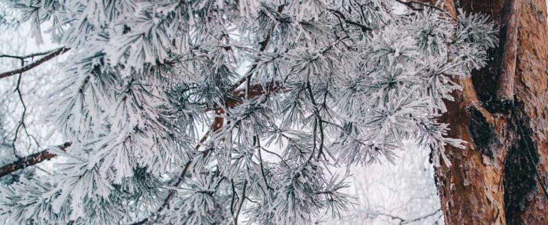 Фото: Коммуниционное агенство Медиа консалт