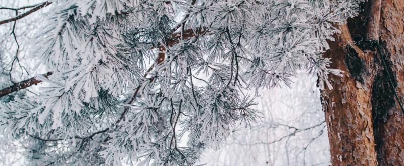 Фото: Коммуниционное агенство Медиа консалт
