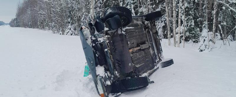 Фото: Пресс-служба УМВД России по Архангельской области