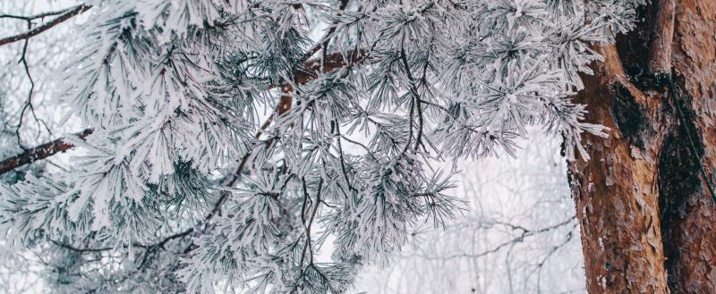 Фото: Коммуниционное агенство Медиа консалт