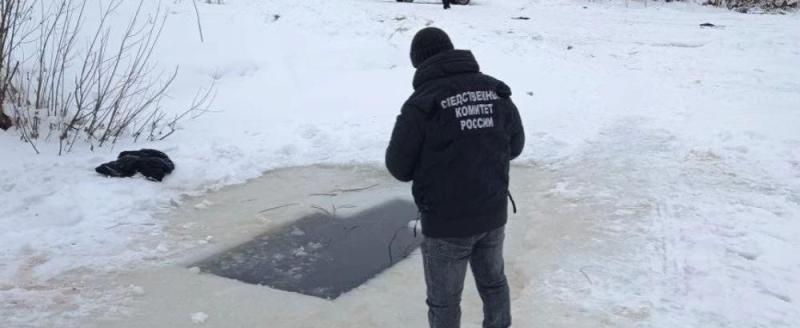 Фото: СУ СК России по Архангельской области и НАО