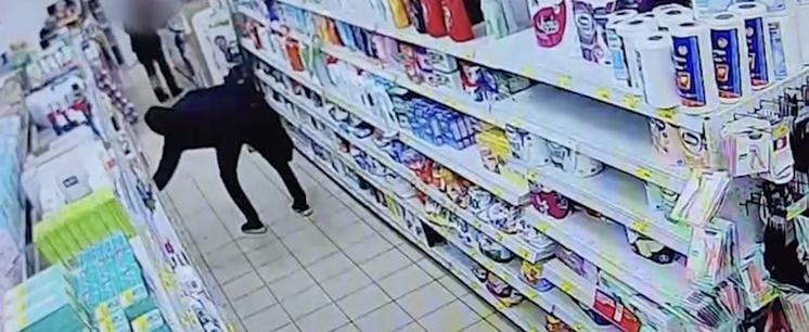 Фото: Фрагмент из видео УМВД России по Архангельской области