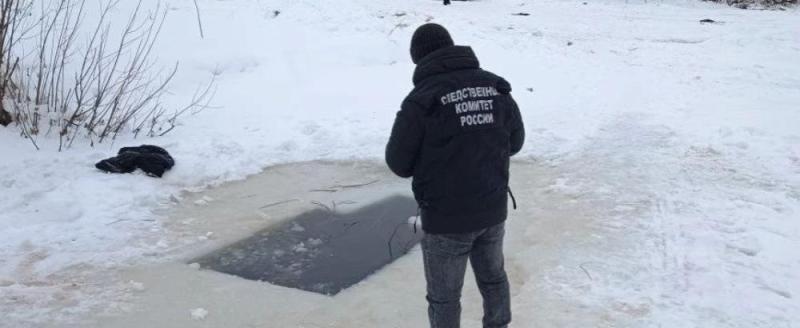 Фото: СУ СК России по Архангельской области и НАО