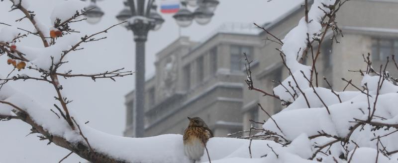 Фото: Коммуниционное агенство Медиа консалт
