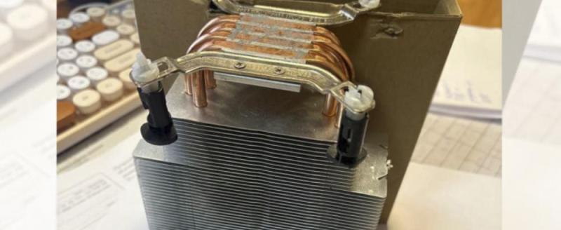 Фото: УМВД России по Архангельской области