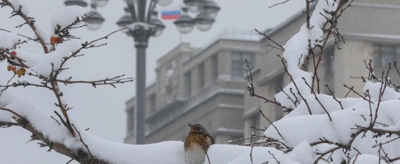 Фото: Коммуниционное агенство Медиа консалт