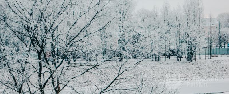 Фото: Коммуниционное агенство Медиа консалт